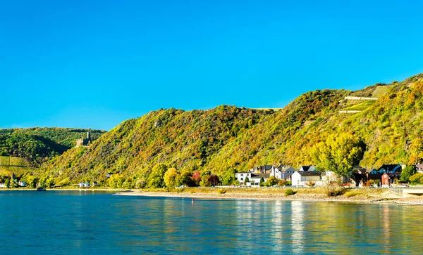 Rhindalen ved Sankt Goarshausen i Tyskland – stockfoto