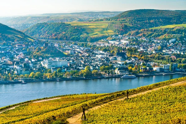 Veduta di Bingen am Rhein dai vigneti di Rudesheim nella valle del Reno, Germania — Foto Stock