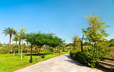 Patika Al şehid Park, Kuveyt City