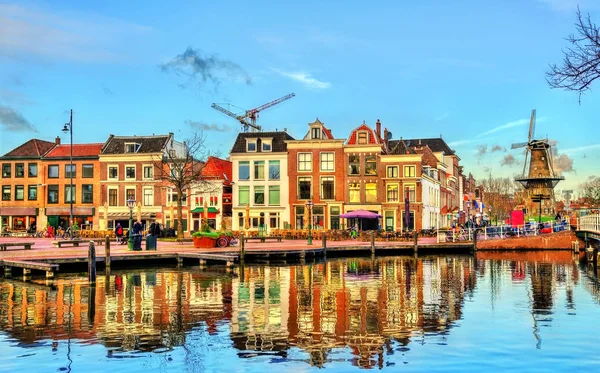 Traditionella hus bredvid en kanal i Leiden, Nederländerna — Stockfoto