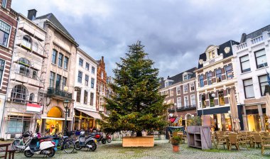 Noel ağacı Plaats Meydanı Lahey, Hollanda