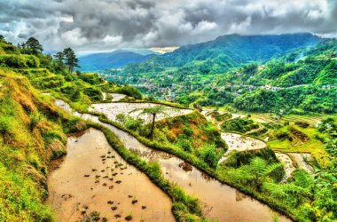 Banaue Pirinç Teras - Kuzey Luzon, Filipinler Unesco Dünya Mirası.