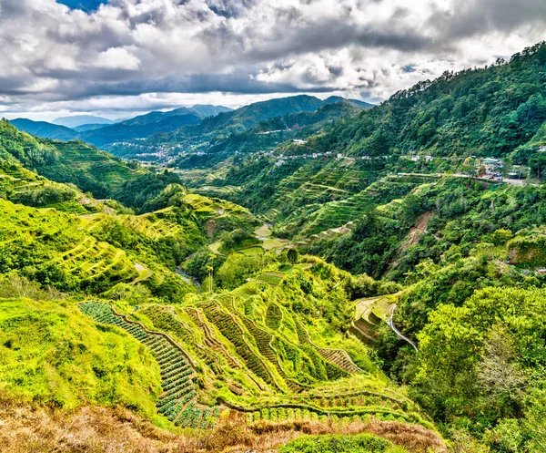 Tarasy ryżowe w Banaue - północnej Luzon, światowego dziedzictwa Unesco w Filipiny. — Zdjęcie stockowe