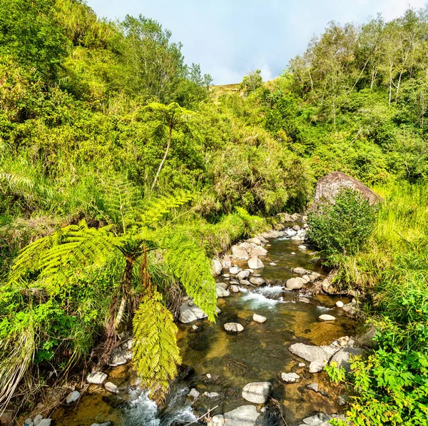 Río en Banaue Terrazas de arroz - Isla de Luzón, Filipinas — Foto de Stock