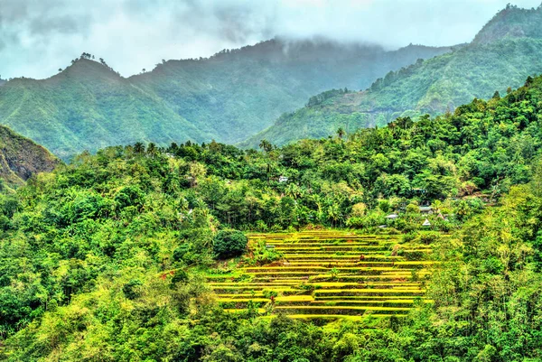 Mayoyao Terrazas de arroz, patrimonio mundial de la UNESCO en Ifugao, Filipinas — Foto de Stock