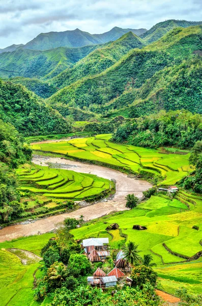 Mayoyao-Reisterrassen, Unesco-Welterbe in Ifugao, Philippinen — Stockfoto