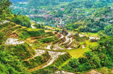 Banaue Pirinç Teras - Kuzey Luzon, Filipinler Unesco Dünya Mirası.