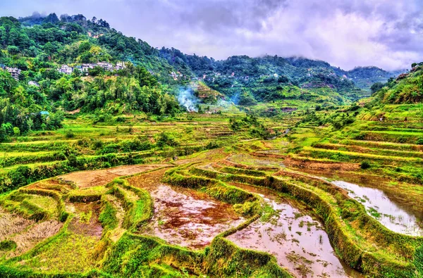 Tarasy ryżowe w Banaue - północnej Luzon, światowego dziedzictwa Unesco w Filipiny. — Zdjęcie stockowe