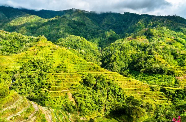 Banaue Rice Terraces - northern Luzon, UNESCO world heritage in Philippines. — Stock Photo, Image
