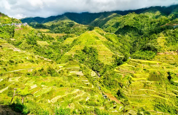 Tarasy ryżowe w Banaue - północnej Luzon, światowego dziedzictwa Unesco w Filipiny. — Zdjęcie stockowe