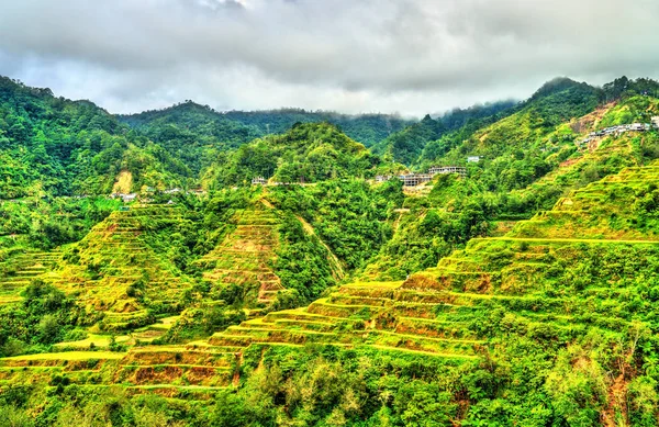 Tarasy ryżowe w Banaue - północnej Luzon, światowego dziedzictwa Unesco w Filipiny. — Zdjęcie stockowe