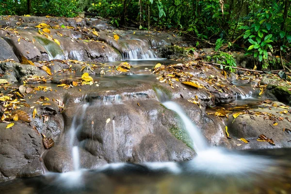 Водопад Мотиепа в Паленке в Мексике — стоковое фото