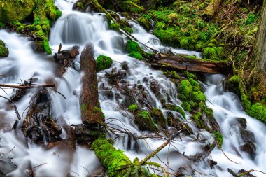 Columbia Nehri Vadisi'ndeki Fairy Falls, Abd