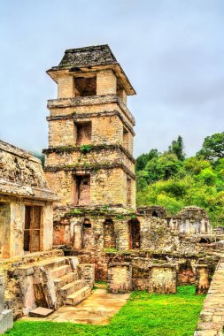 Palenque, Meksika'daki Maya Arkeolojik Alanı'ndaki Saray