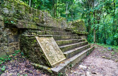 Chiapas Palenque Antik Maya tapınağı, Meksika