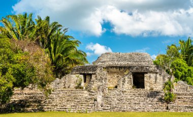 Meksika'da Kohunlich'te Maya harabeleri