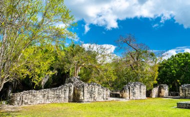 Meksika'da Kohunlich'te Maya harabeleri