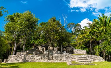 Mayan ruins at Kohunlich in Mexico clipart