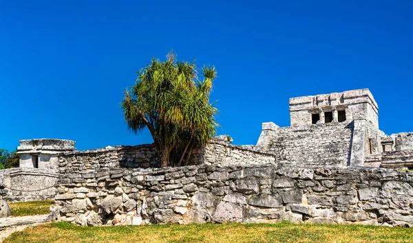 Antiguas ruinas mayas en Tulum en México — Foto de Stock