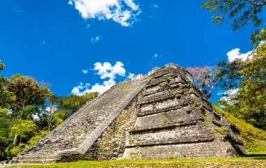 Guatemala Tikal antik Maya kalıntıları