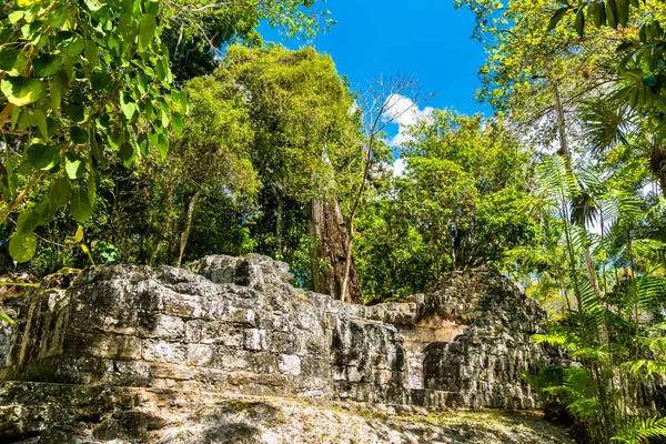 Antiguas ruinas mayas en Tikal en Guatemala — Foto de Stock