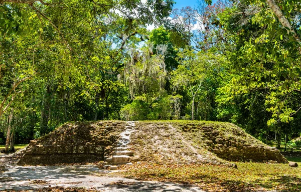 Antiguas ruinas mayas en Tikal en Guatemala — Foto de Stock