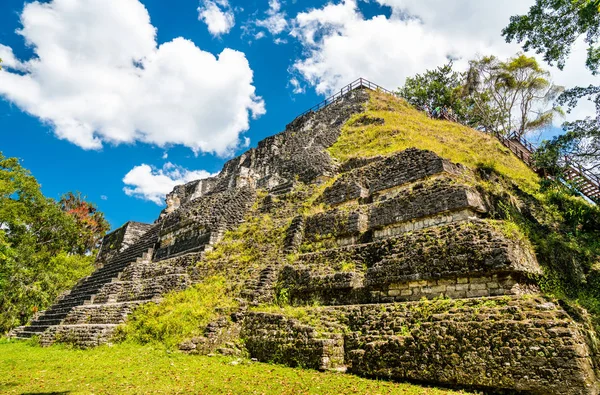 Guatemala Tikal antik Maya kalıntıları