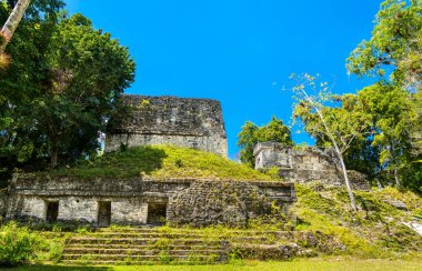 Guatemala Tikal antik Maya kalıntıları