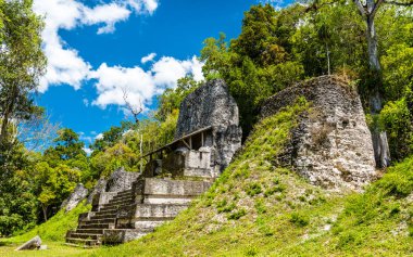 Guatemala Tikal antik Maya kalıntıları