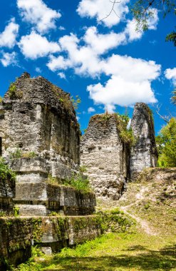 Guatemala Tikal antik Maya kalıntıları