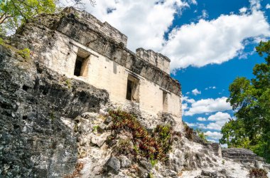 Guatemala Tikal antik Maya kalıntıları