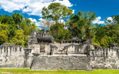 Guatemala Tikal antik Maya kalıntıları