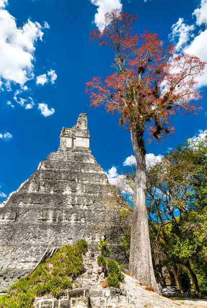 Temple of the Great Jaguar at Tikal in Guatemala