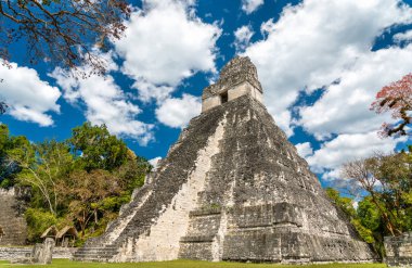 Guatemala 'da Tikal 'da büyük Jaguar Tapınağı