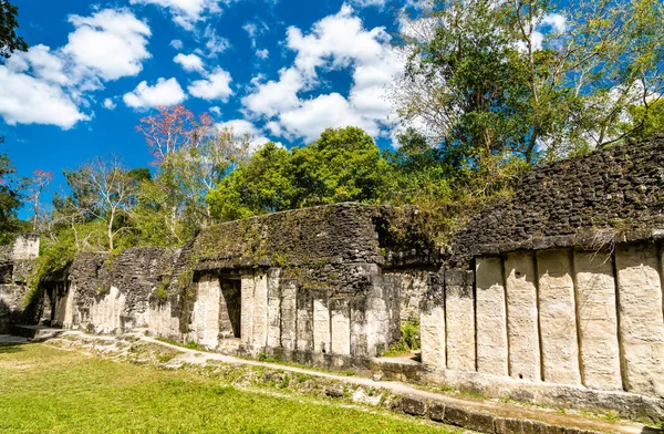 Antiguas ruinas mayas en Tikal en Guatemala — Foto de Stock