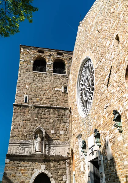 İtalya'daki Saint Justus Trieste Katedrali