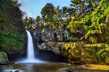 Bali, Endonezya'da Ubud yakınındaki Tegenungan şelale