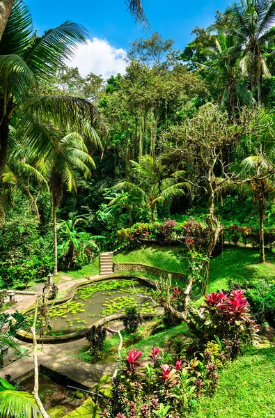 Jardín en el templo de Goa Gajah en Bali, Indonesia — Foto de Stock