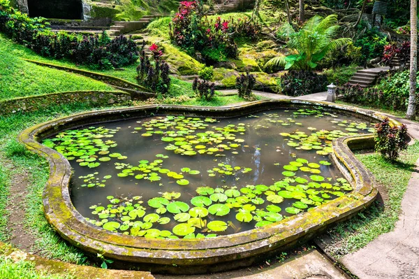 Jardim em Goa Gajah templo em Bali, Indonésia — Fotografia de Stock