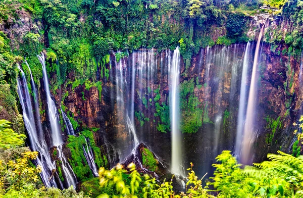 Tumpak Sewu wodospady w Jawa Wschodnia, Indonezja — Zdjęcie stockowe