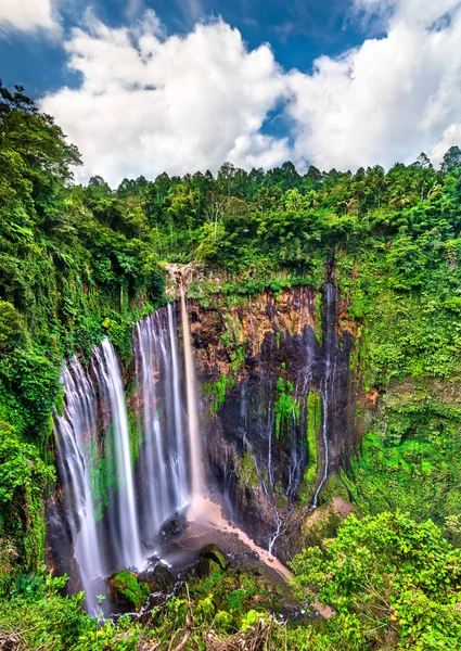 Tumpak SEWU vattenfall i östra Java, Indonesien — Stockfoto