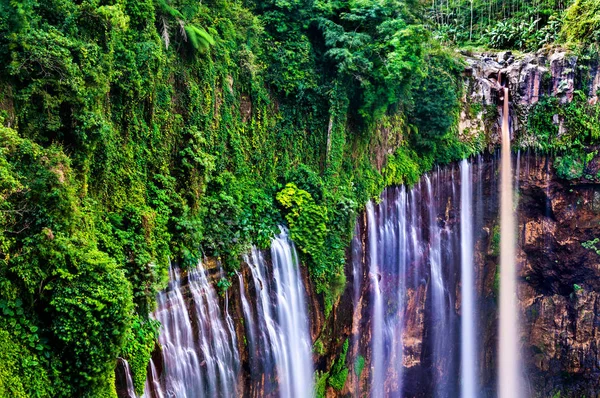 Tumpak Sewu wodospady w Jawa Wschodnia, Indonezja — Zdjęcie stockowe