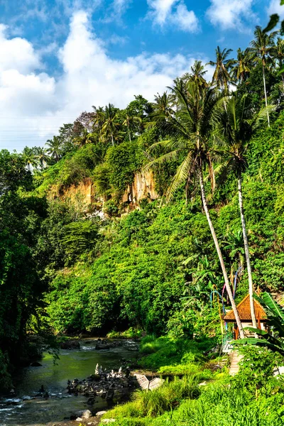インドネシア・バリ島のペタヌ川下流テゲンガン滝 — ストック写真