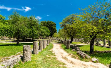 Archaeological Site of Olympia in Greece