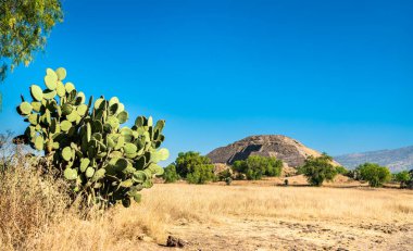 Meksika 'daki Teotihuacan' da Ay Piramidi