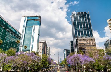 Paseo de la reforma mexico City