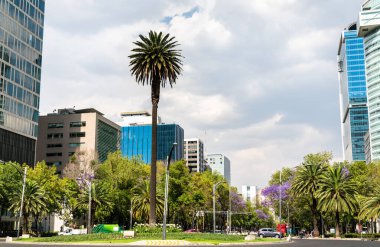 Paseo de la reforma mexico City
