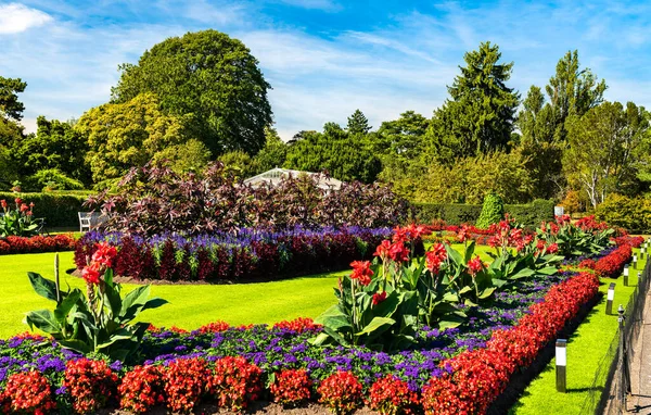 Londra 'daki Kew Gardens' da çiçekler