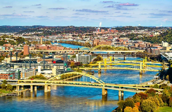 Pittsburgh, Pennsylvania 'daki Allegheny Nehri' nin karşısındaki köprüler.