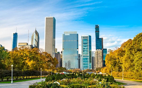 Skyline of Chicago at Grant Park in Illinois, United States — стоковое фото